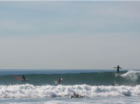 as surf kassia malibu 2048