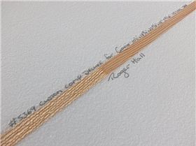 11162195 1110985742260151 7466992163702344305 n