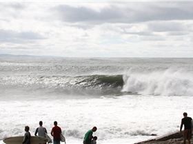 11204999 903841049680890 4912043458188023098 n