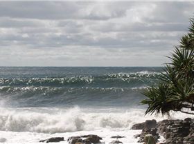 11196273 903841136347548 4150197657964720992 n