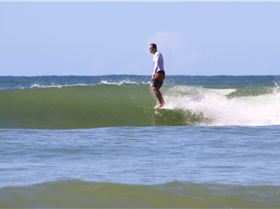 10981082 10205832462549051 8305466159180405218 o