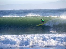 11049571 10206320448428393 7664823160071580999 n