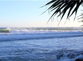 11174941 10206320413347516 1640993823804947585 n