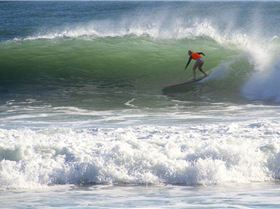 11196331 10206320916120085 7986051957522248024 n