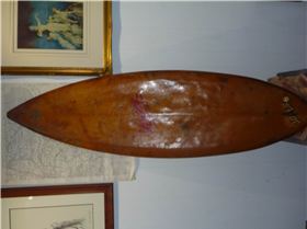 Found in banana shed