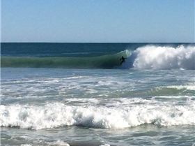 11231088 10207200928321934 8729014324020470652 n