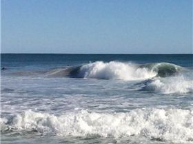 11696756 10207208560512734 1502706658 n