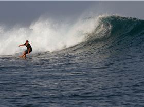 Screen Shot 2015-07-10 at 4.59.38 pm