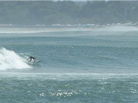 Discovery Novelty Wave