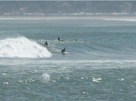 Discovery Novelty Wave