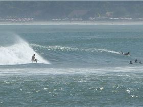 Discovery Novelty Wave