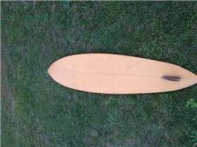 shaped by cole smith