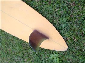 shaped by cole smith