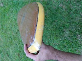 shaped by cole smith