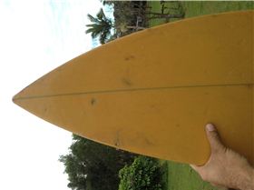 shaped by cole smith