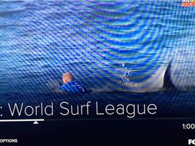 10451172 10152924295930009 4364600415084833383 n