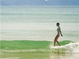 10611113 943970942292148 438226350 n