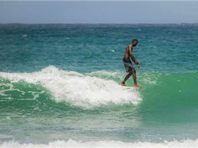 zed-s-surfing-adventures