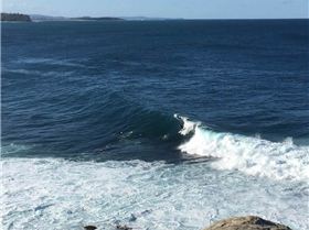 Screen Shot 2015-08-30 at 4.41.54 pm