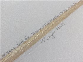 11990507 1200767253281999 8525872605264617009 n