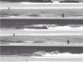 The local the other day