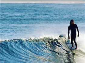 FB IMG 1442208577235