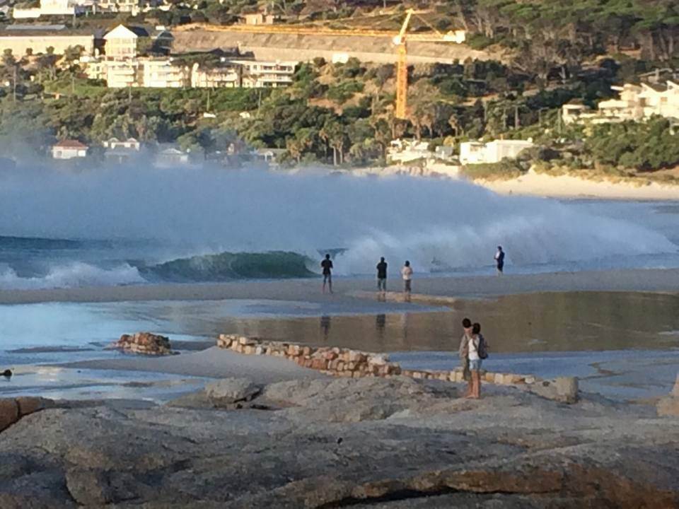 Only the brave (or stupid)