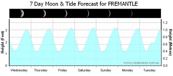 Mixed semidiurnal tides