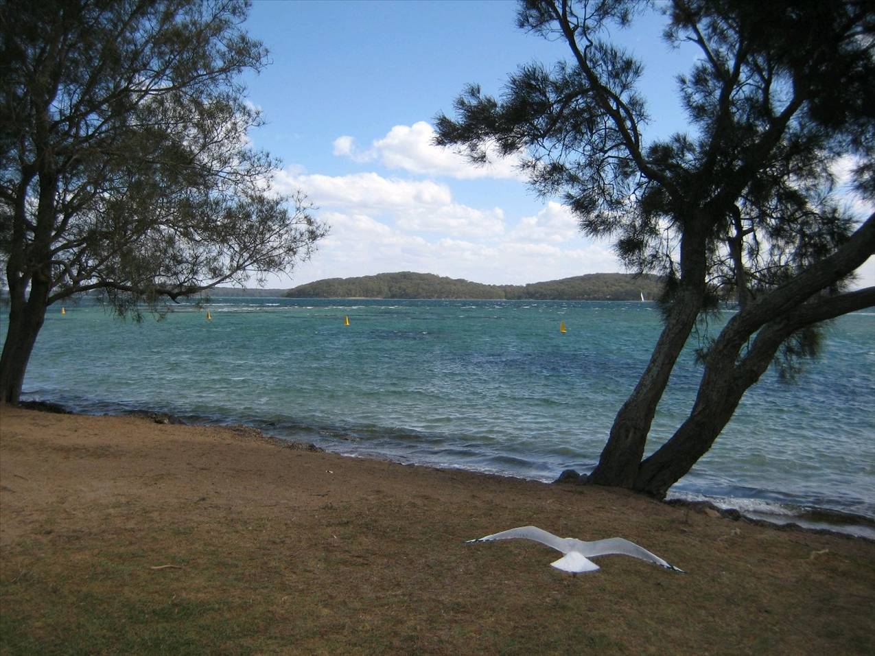 30 knot westerly wind