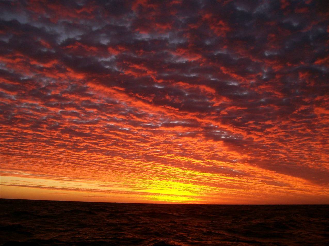 gota love waking up to this