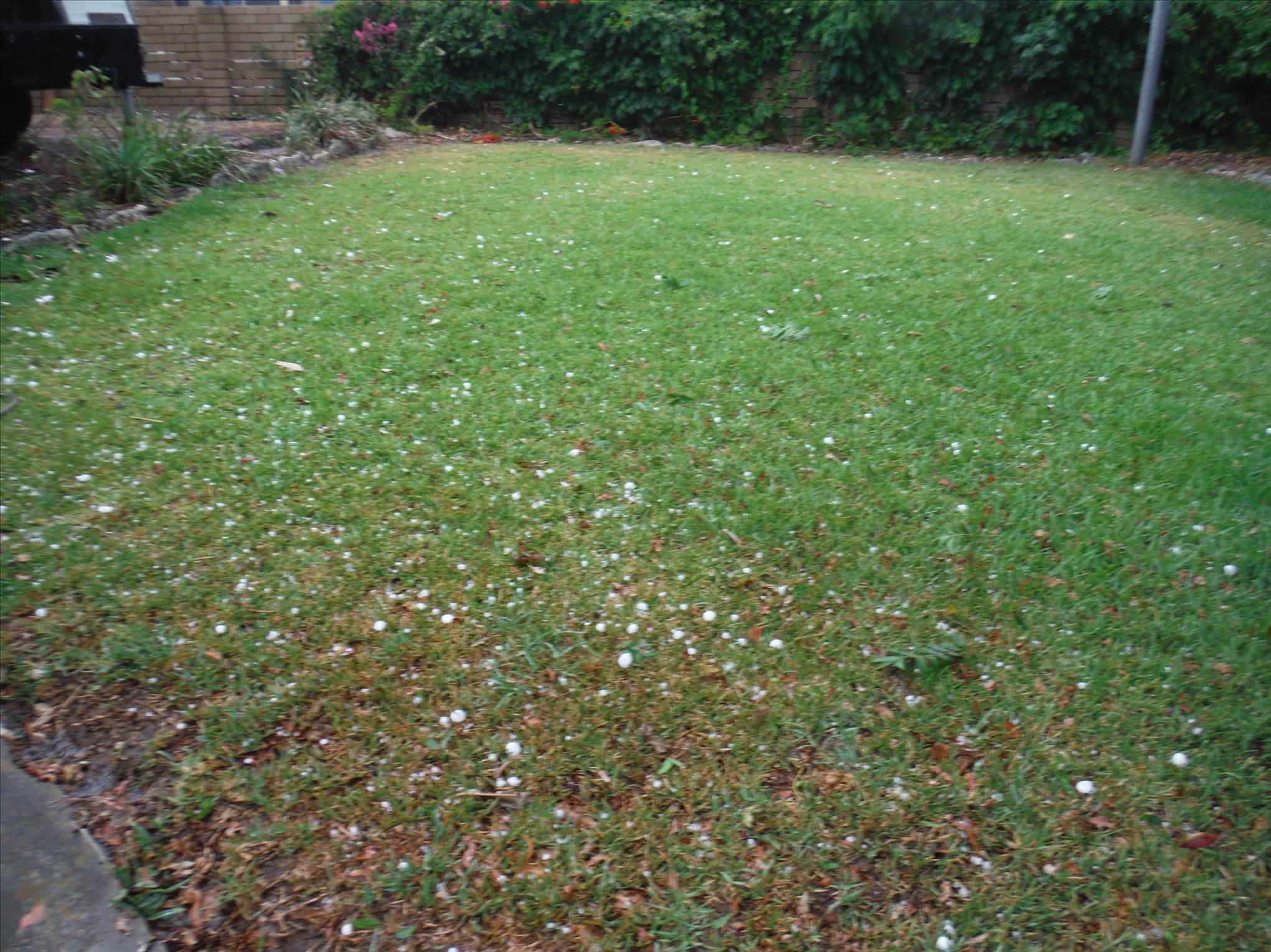 Hail storm 1/2/2015
