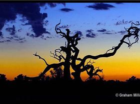 Sunset over the Farmland