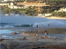 Only the brave (or stupid)