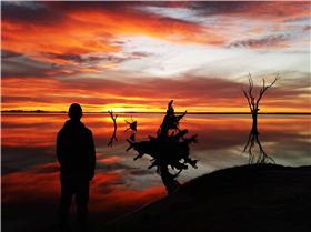Lake Bonney, Barmera SA sunset