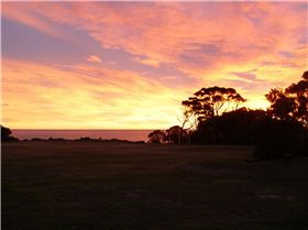 sunrise - wind on the way