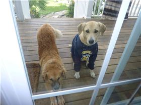 Sandy in cold weather gear