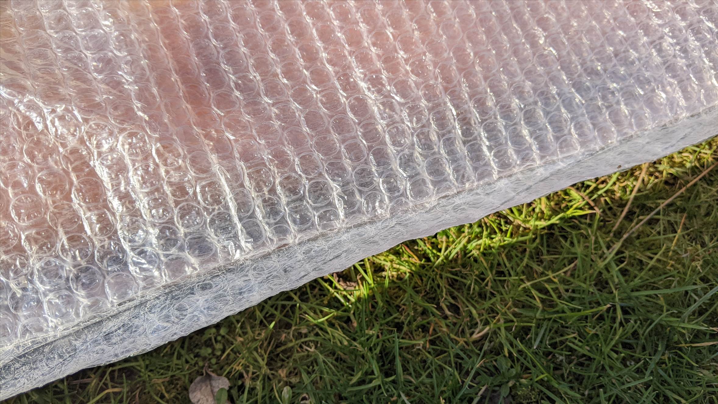 PXL20230209125927743[1]