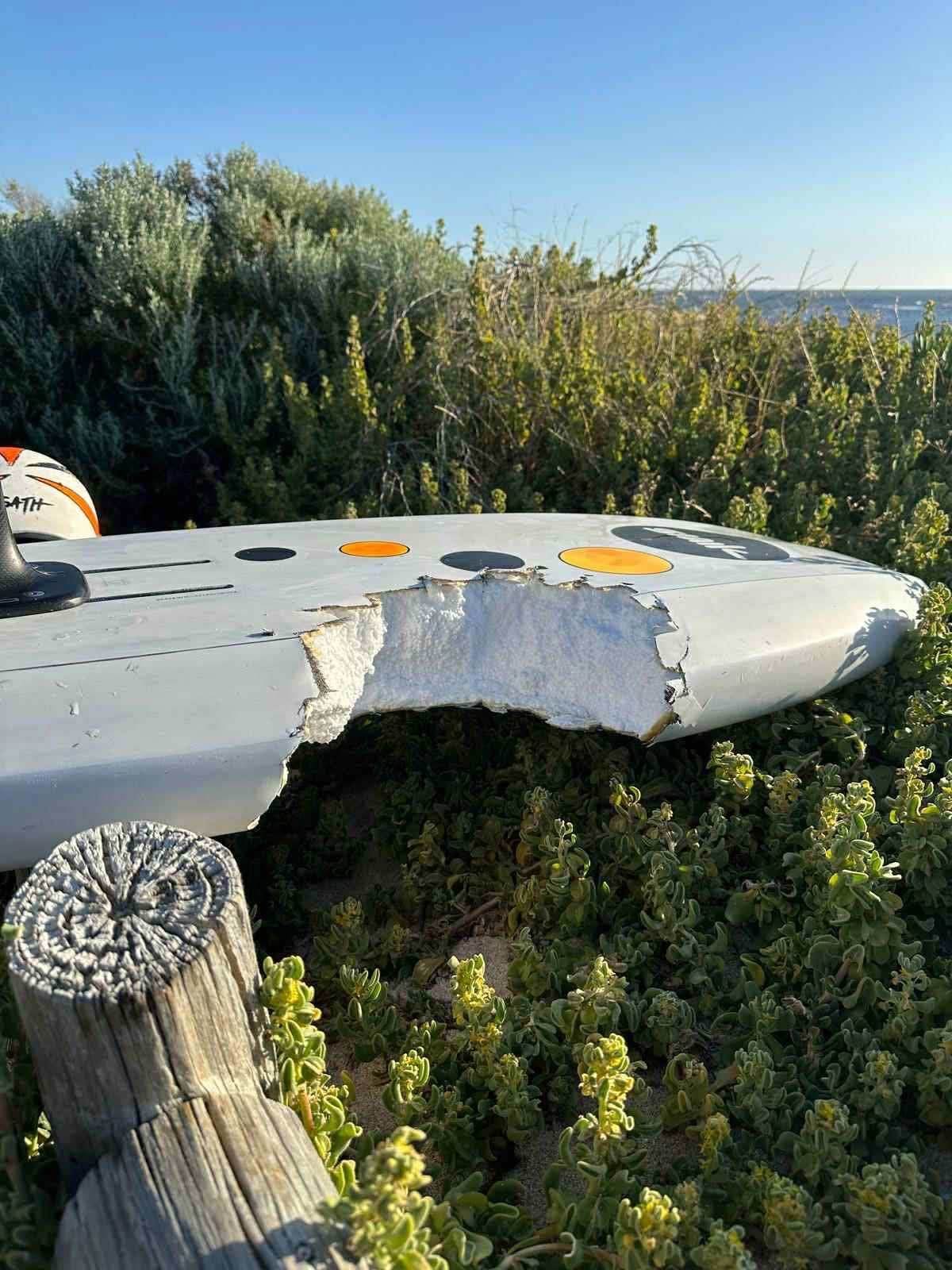 3c412ba0a103c36dc8e8b60dd9fa6204