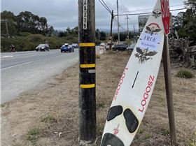 2021 Free Windsurfer