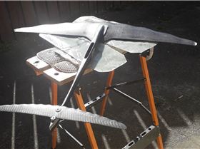 2022 foil range so far.