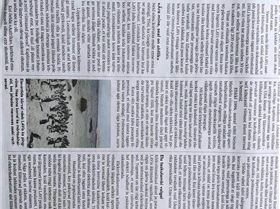 4268115602938625467041126741120887065798891n