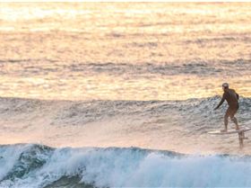 Konrad prone Trench boards