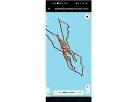 Gong V2 neutra lowkite