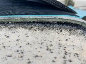 Gong Melted EPS core