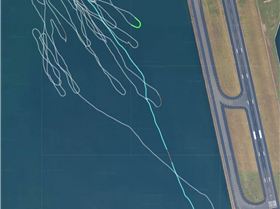 Screenshot 2026-01-25 100839