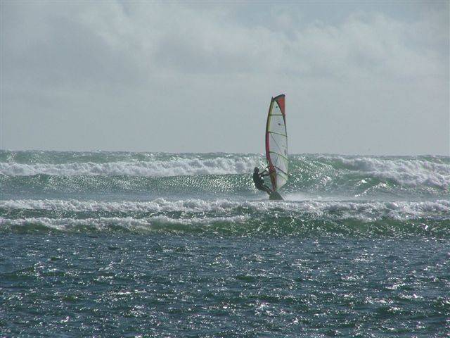 Peli Point Holiday Snaps