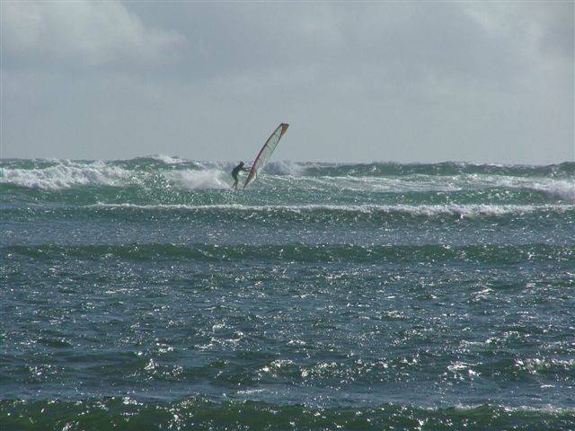 Peli Point Holiday Snaps