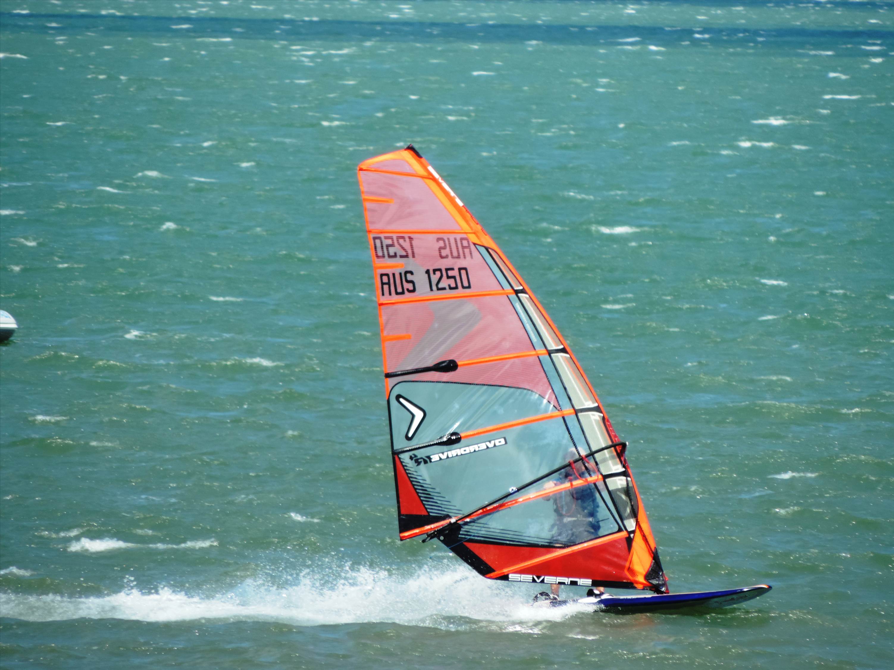 Bayside Slalom 15/11/2015