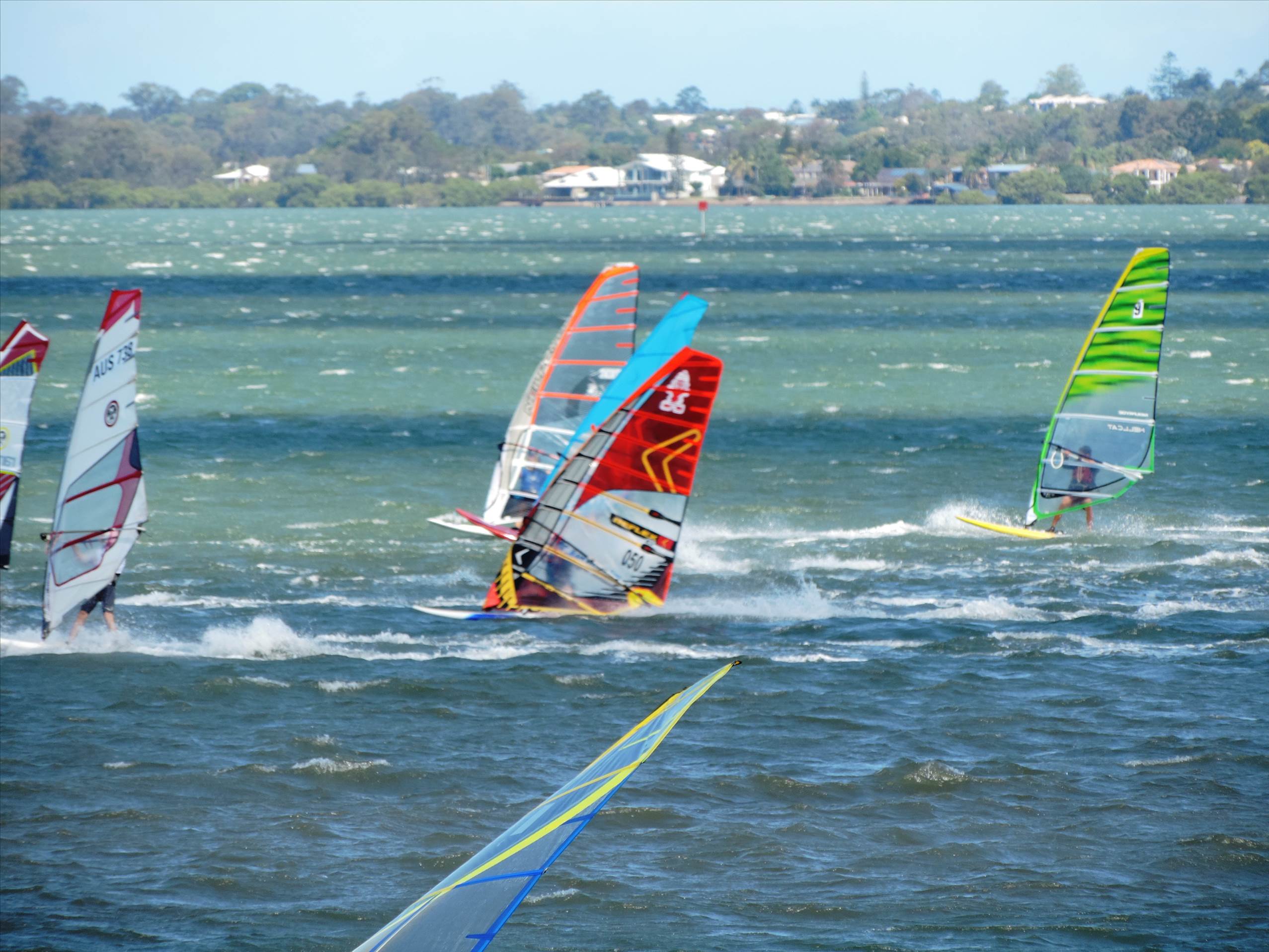 Bayside Slalom 15/11/2015