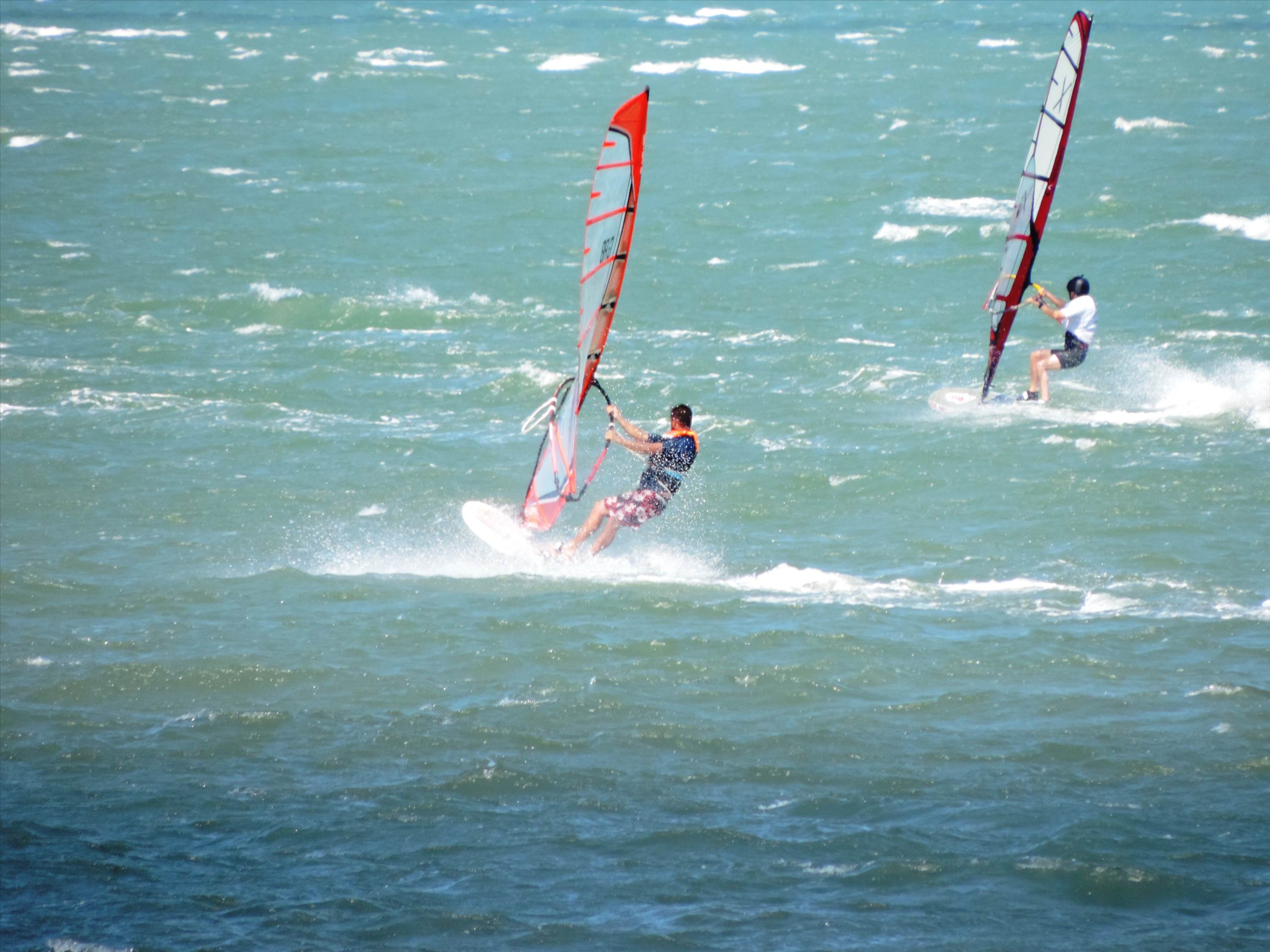 Bayside Slalom 15/11/2015
